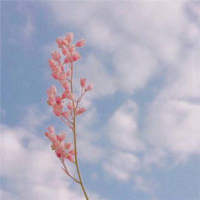 球探比分旧版大全手机app下载截图