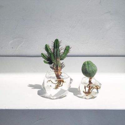 LDSports乐动体育